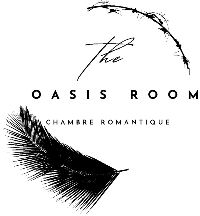 Suite jacuzzi /Baignoire romantique « oasis »